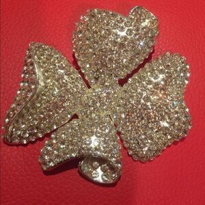 Beautiful brooch - Cache - NWOT
